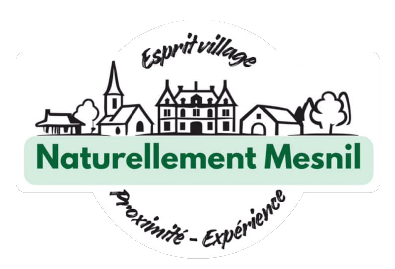 v1.naturellementmesnil.fr